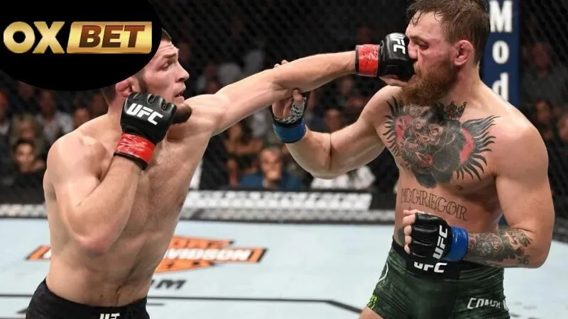 Cá Cược MMA OXBET - Kèo MMA Online Uy Tín Thưởng Lớn Nhất 2 Lợi ích khi cá cược MMA OXBET