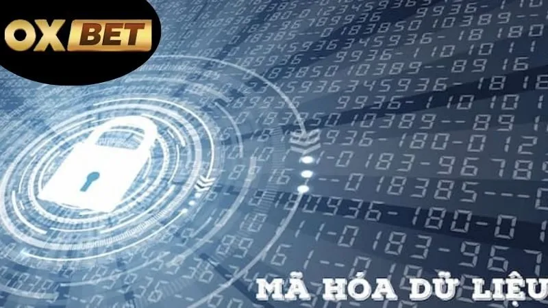Mã hóa dữ liệu OXBET – Bảo vệ thông tin tuyệt đối 2 Định Nghĩa Và Giải Thích