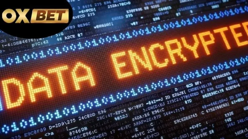 Mã hóa dữ liệu OXBET
