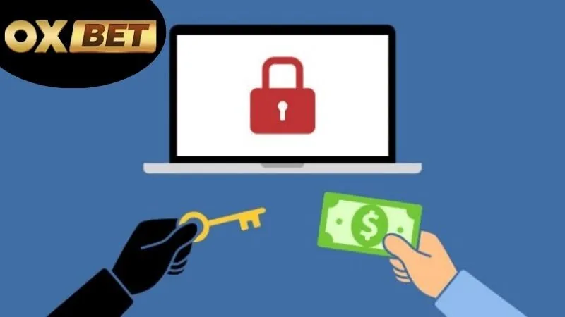 Hướng dẫn xử lý sự cố cơ bản